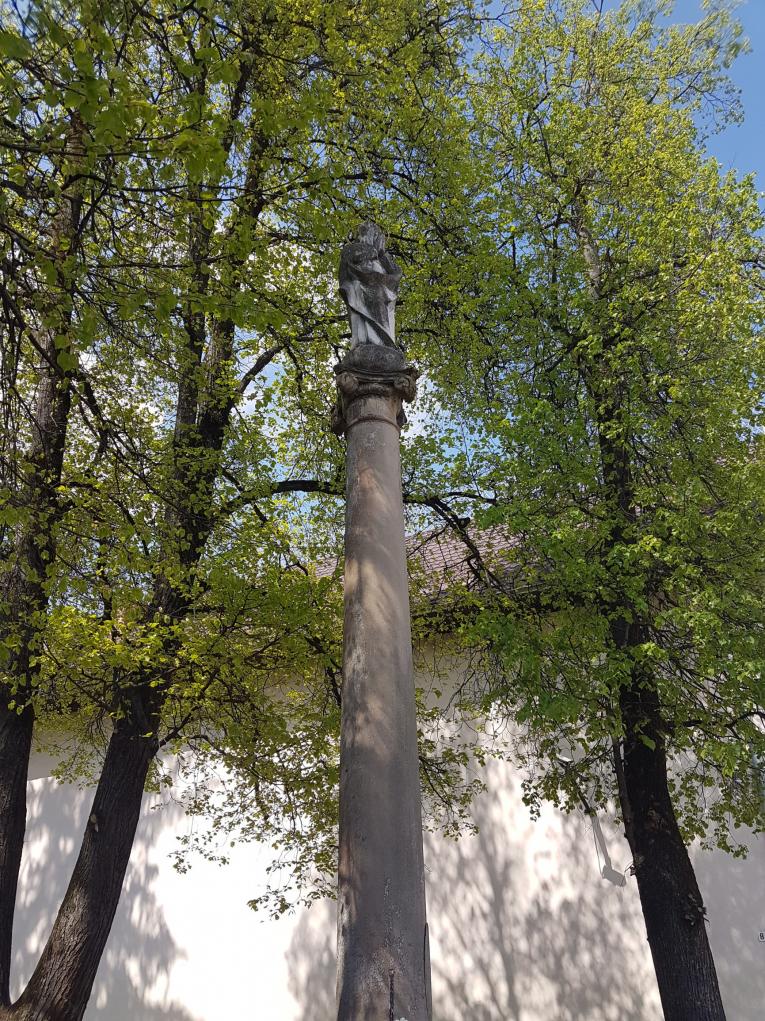 Immaculata pred vyčistením